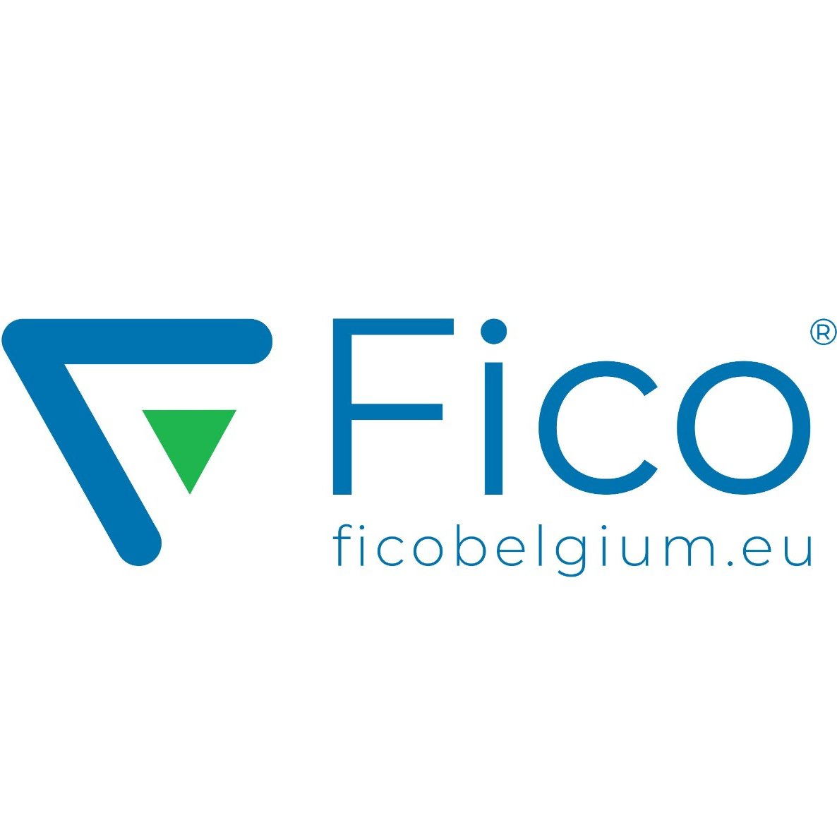 Beenkussen Groot Fico