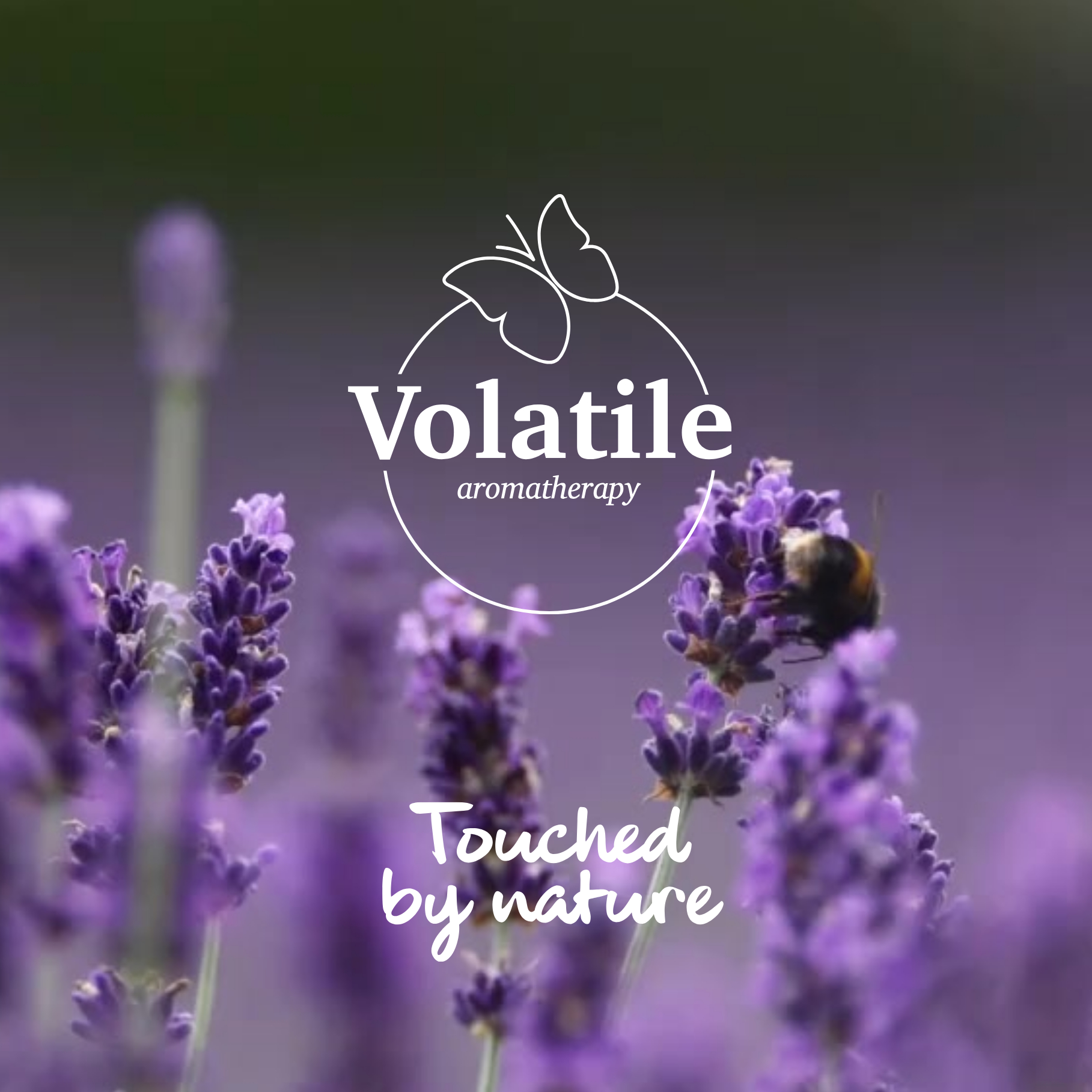 essentiele olie vanille