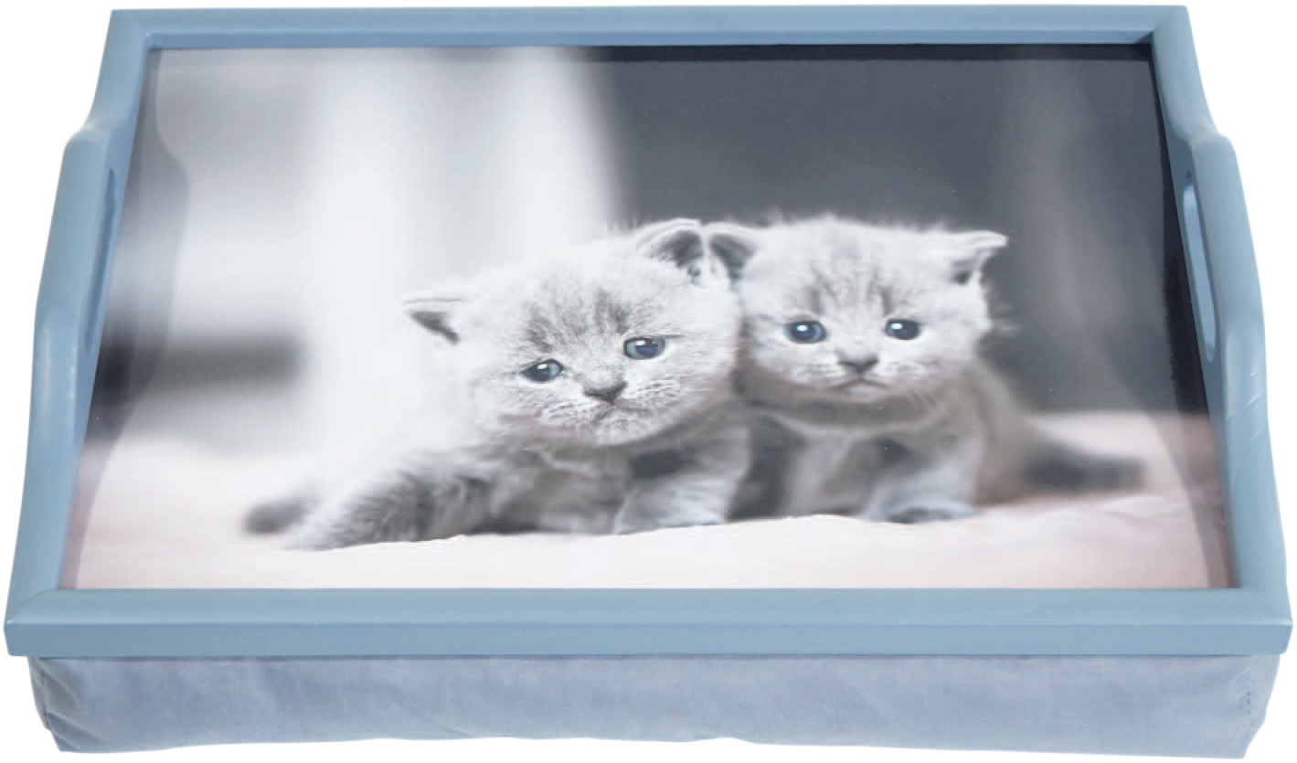 kussen tafeltje voor op schoot kittens aidapt