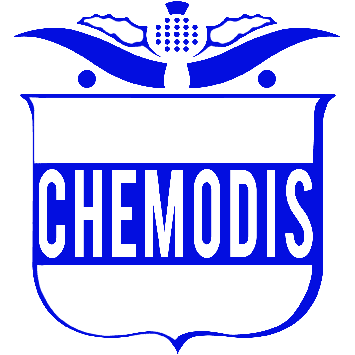 Chemotherm 500 ml massage olie