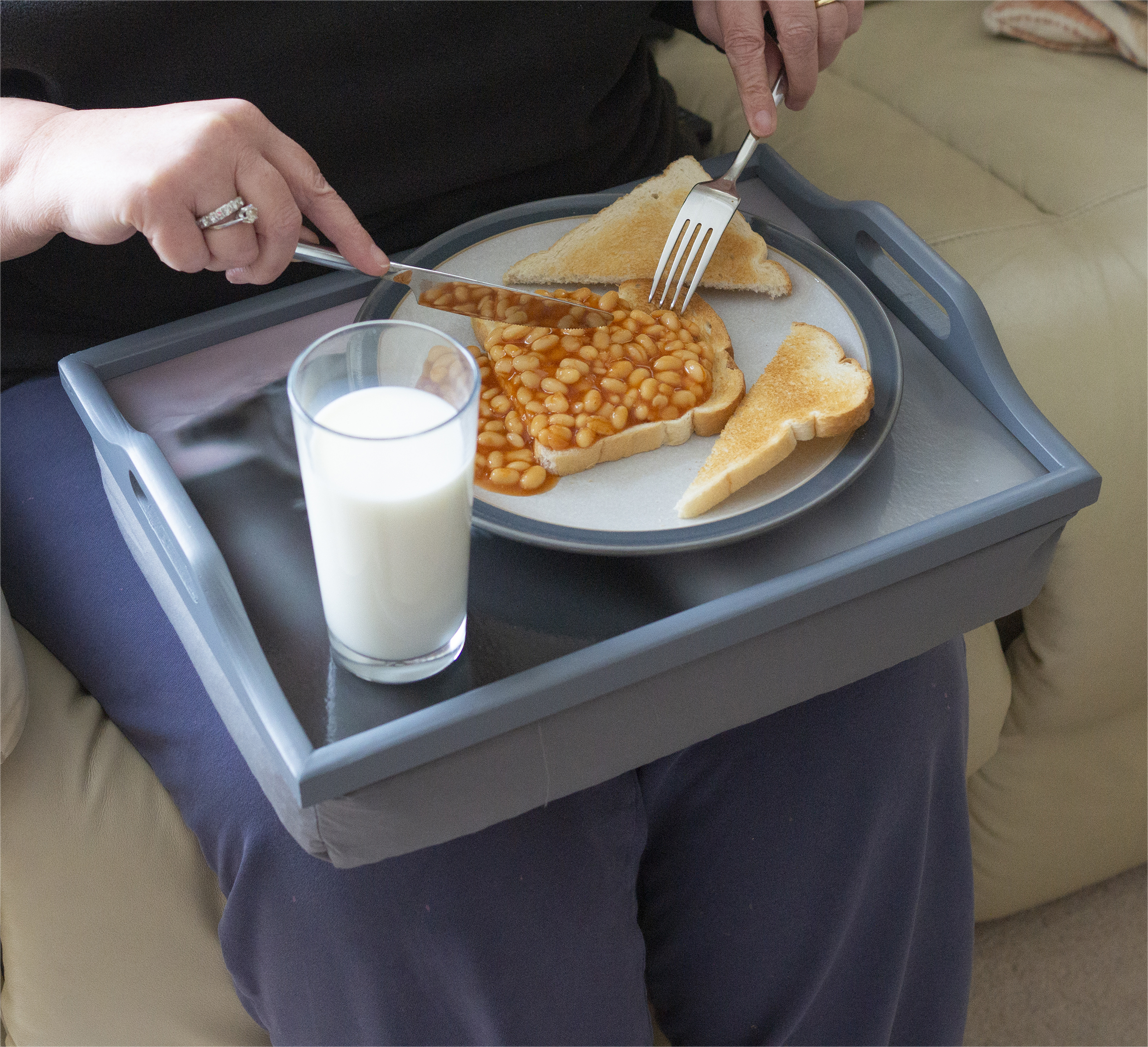 schoot dienblad kittens aidapt