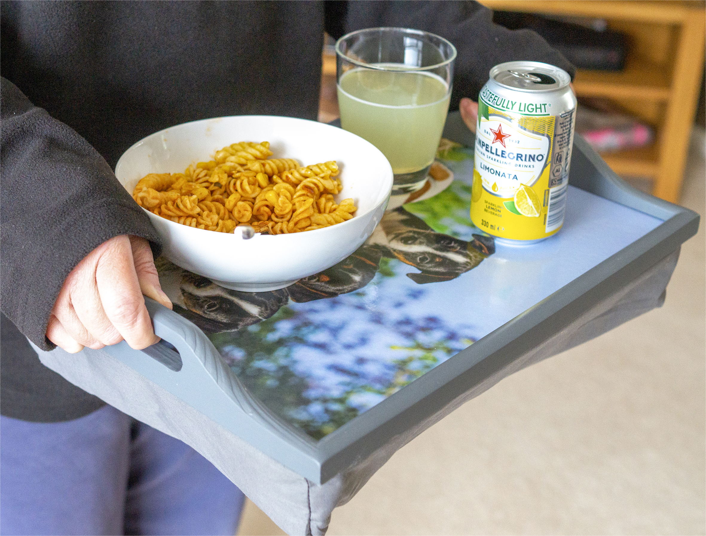 schootkussen dienblad hondjes aidapt