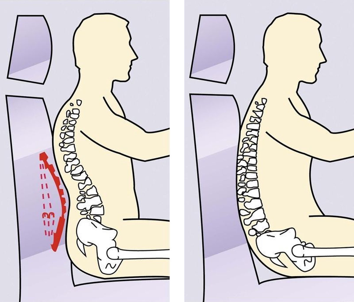 verstelbare lendensteun auto ergonomisch zitten