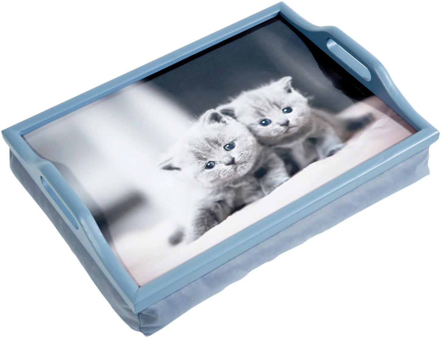 laptray kittens aidapt