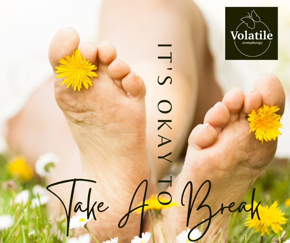 citroengrasolie insecten