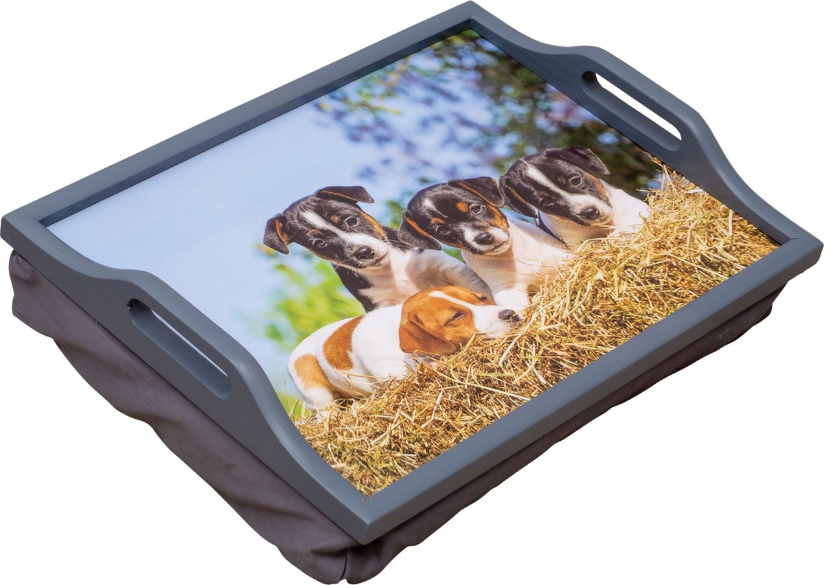 schoottafel kussen puppys aidapt