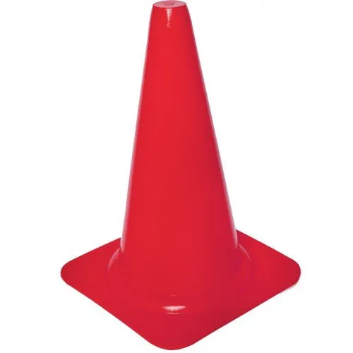 Pion Cawila Groot 10 stuks Rood