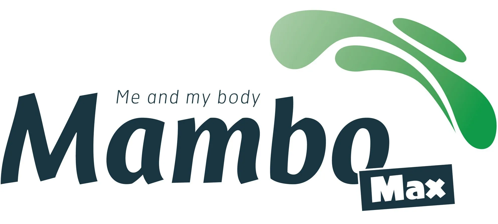 Kettlebell 2 kg gietijzer Mambo Max