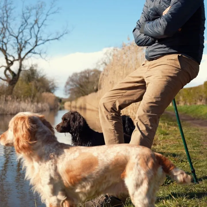 Zitwandelstok buiten Zitwandelstok buiten